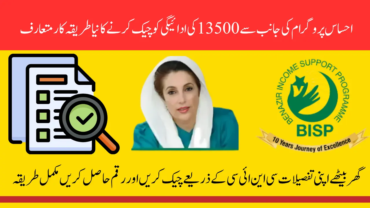 8171 Ehsaas Program 13500 Payment Check CNIC Online After Web Portal Reopening June 2025